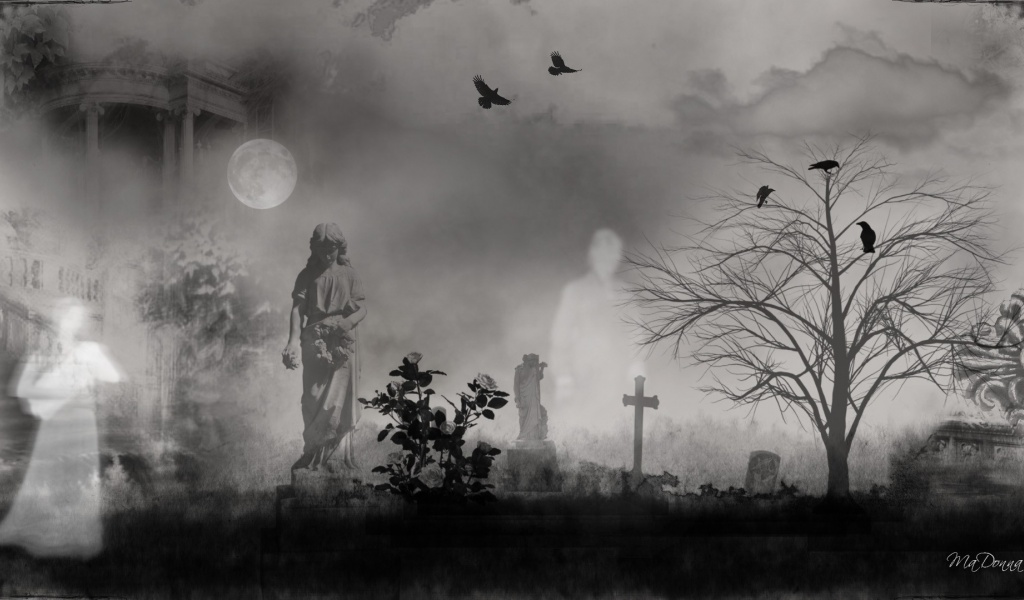 Graveyard Ghosts Birds Cross Dark Fantasy Firefox Persona Ghosts Goth Moon Mystical Sky Screen