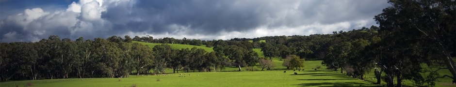 Green Hills Nature