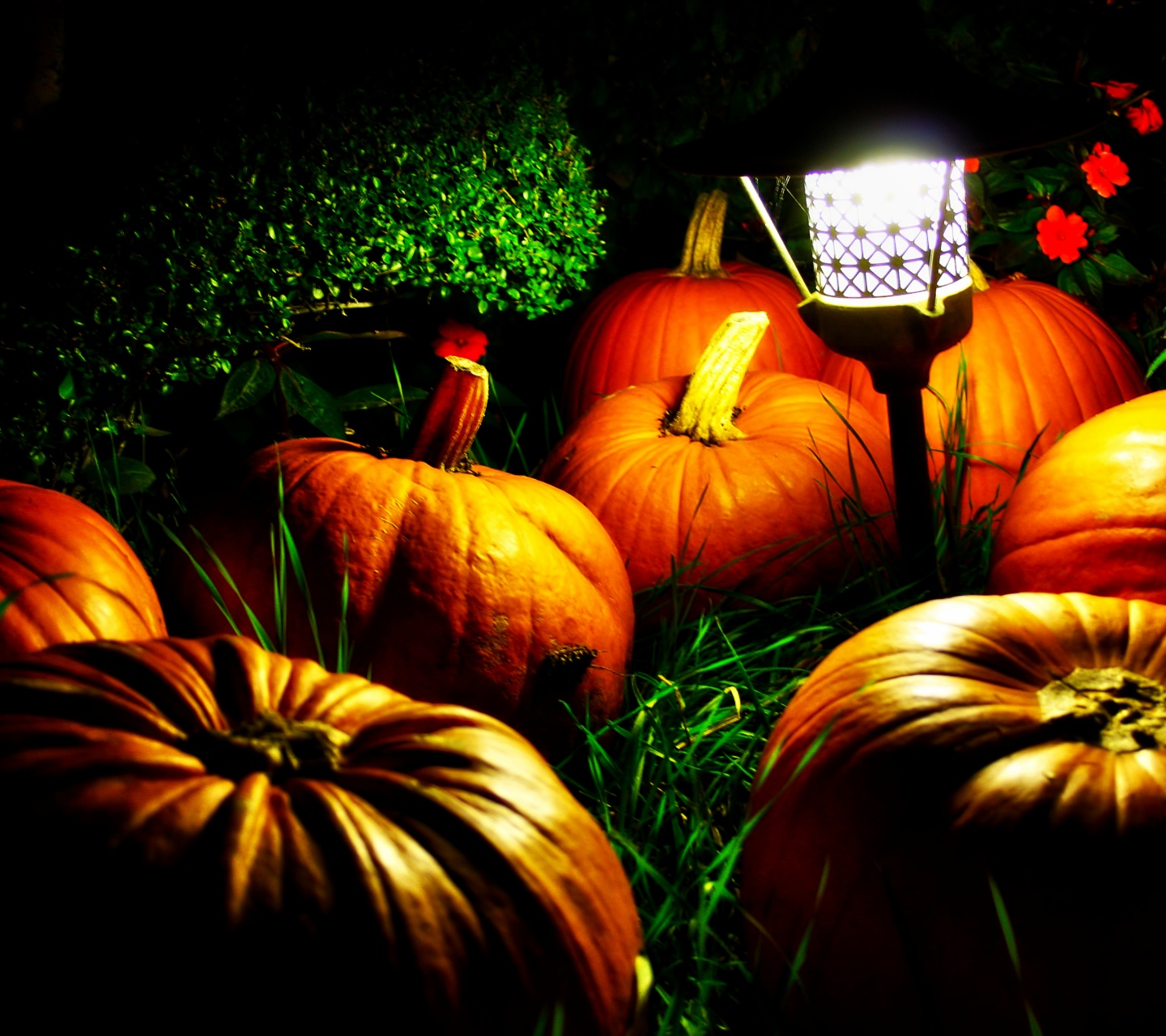 Halloween Pumpkins And A Night Light