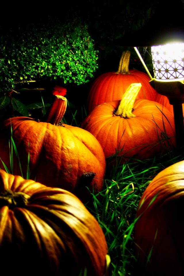 Halloween Pumpkins And A Night Light