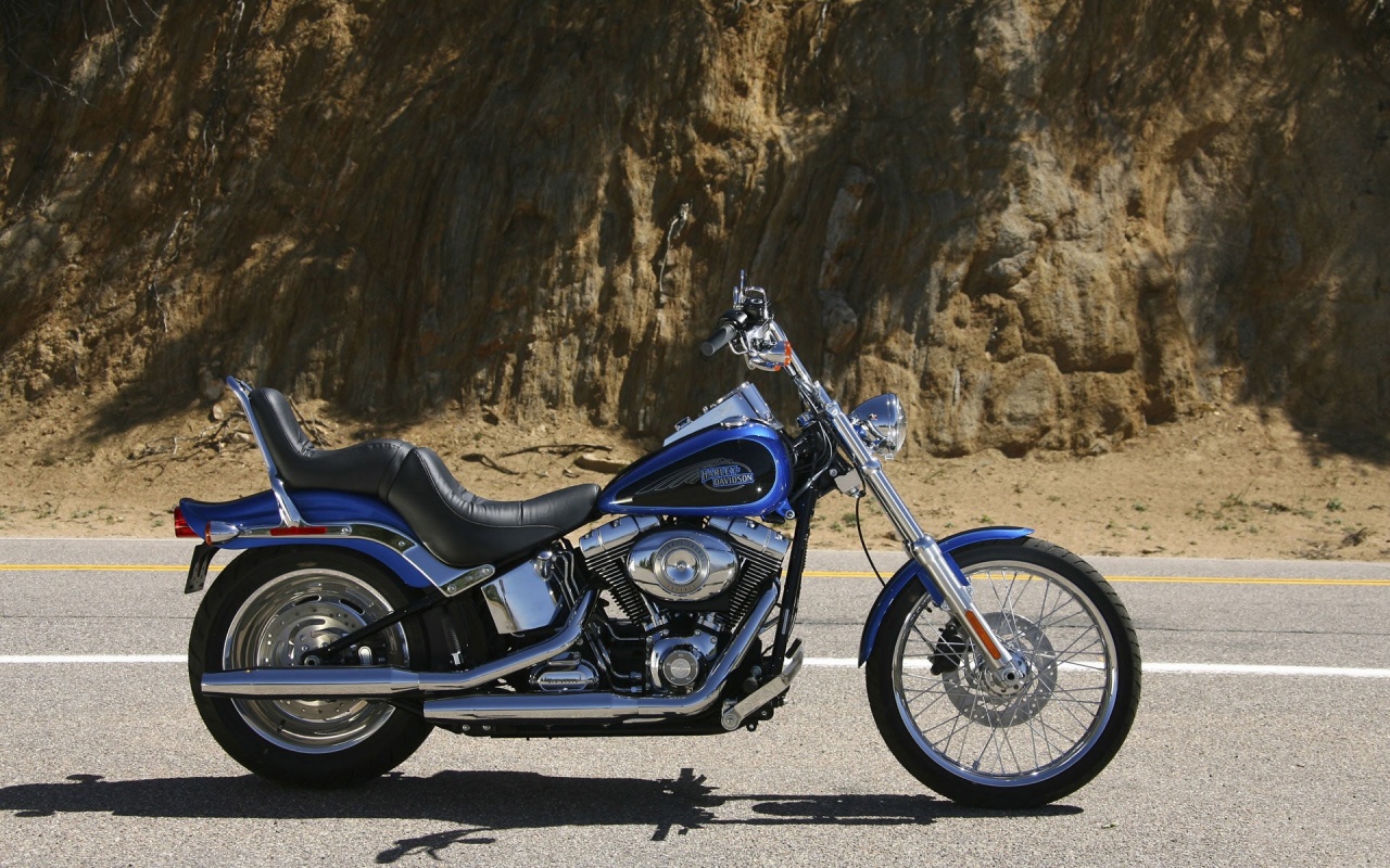 Harley Davidson Softail Custom Fxstc