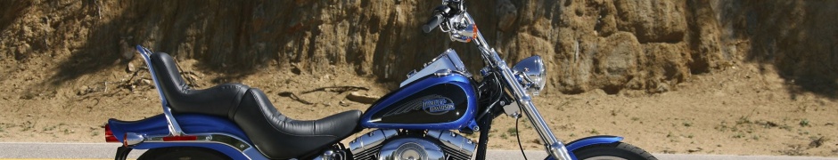 Harley Davidson Softail Custom Fxstc