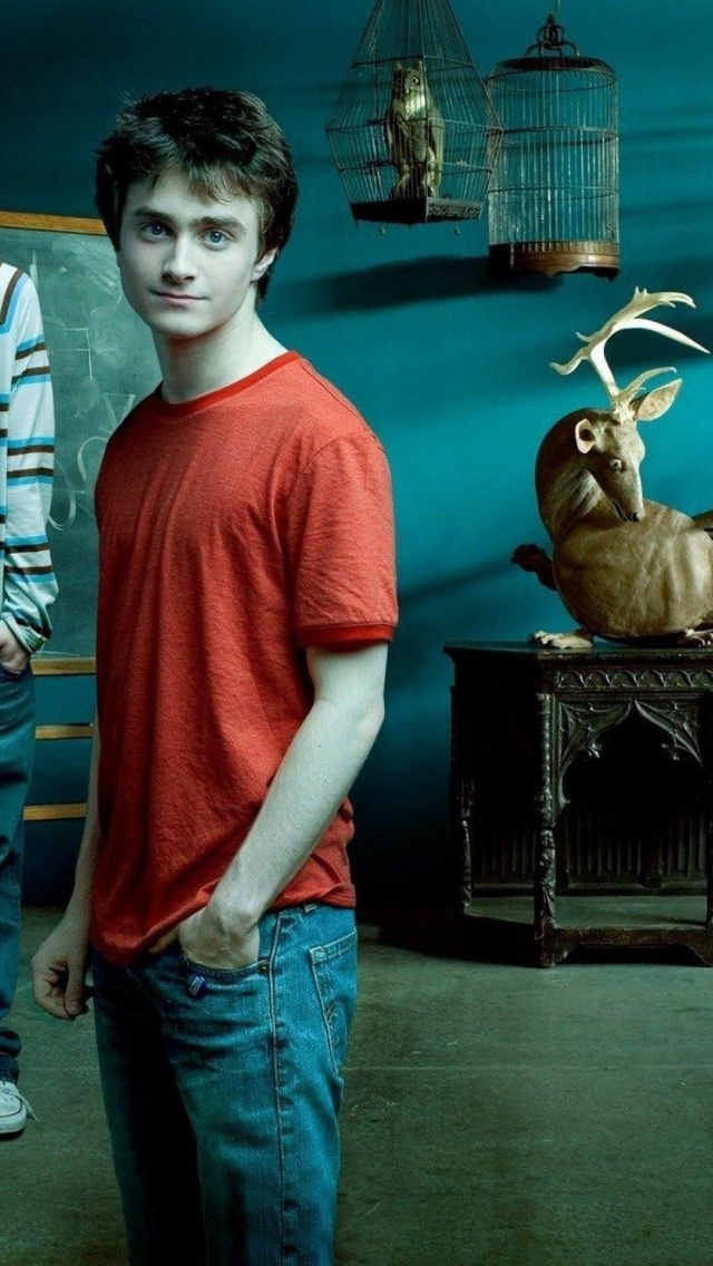 Harry Potter Emma Watson Rupert Grint Daniel Radcliffe