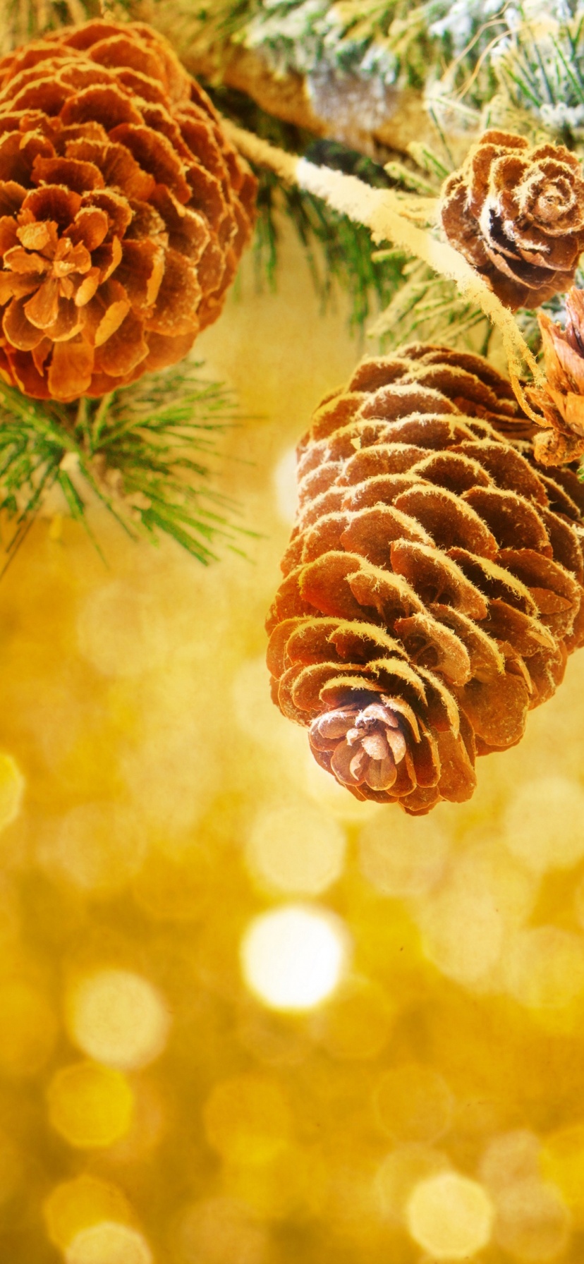 Holiday Christmas Branches Pine Cone