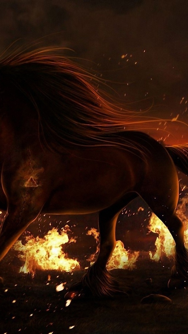 Horse Fire Field Eyes