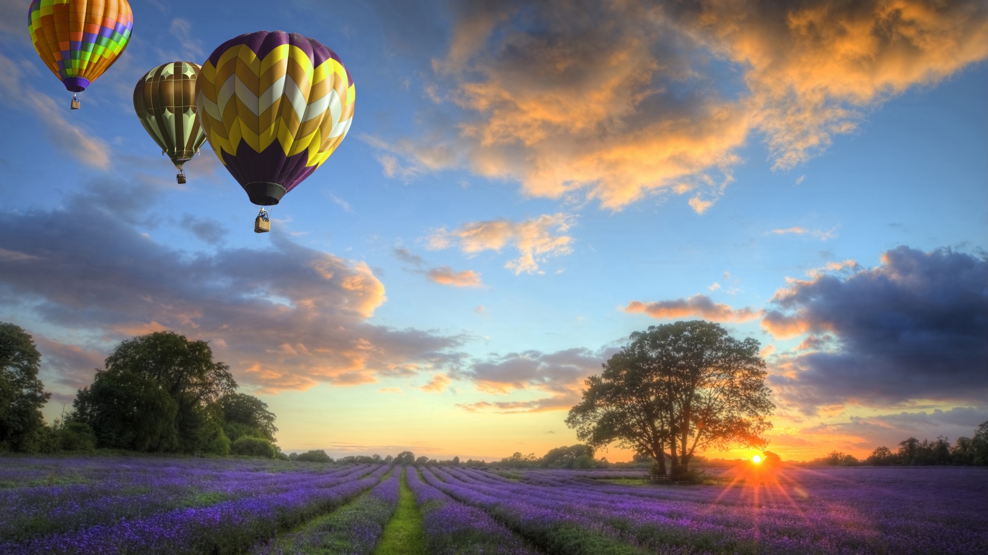 Hot Air Balloons Flying Over Land