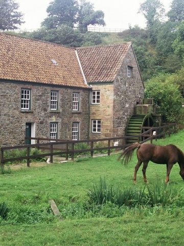 House Pasture Horse Grass Channel Islands