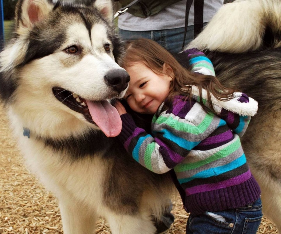 Husky And The Little Kid