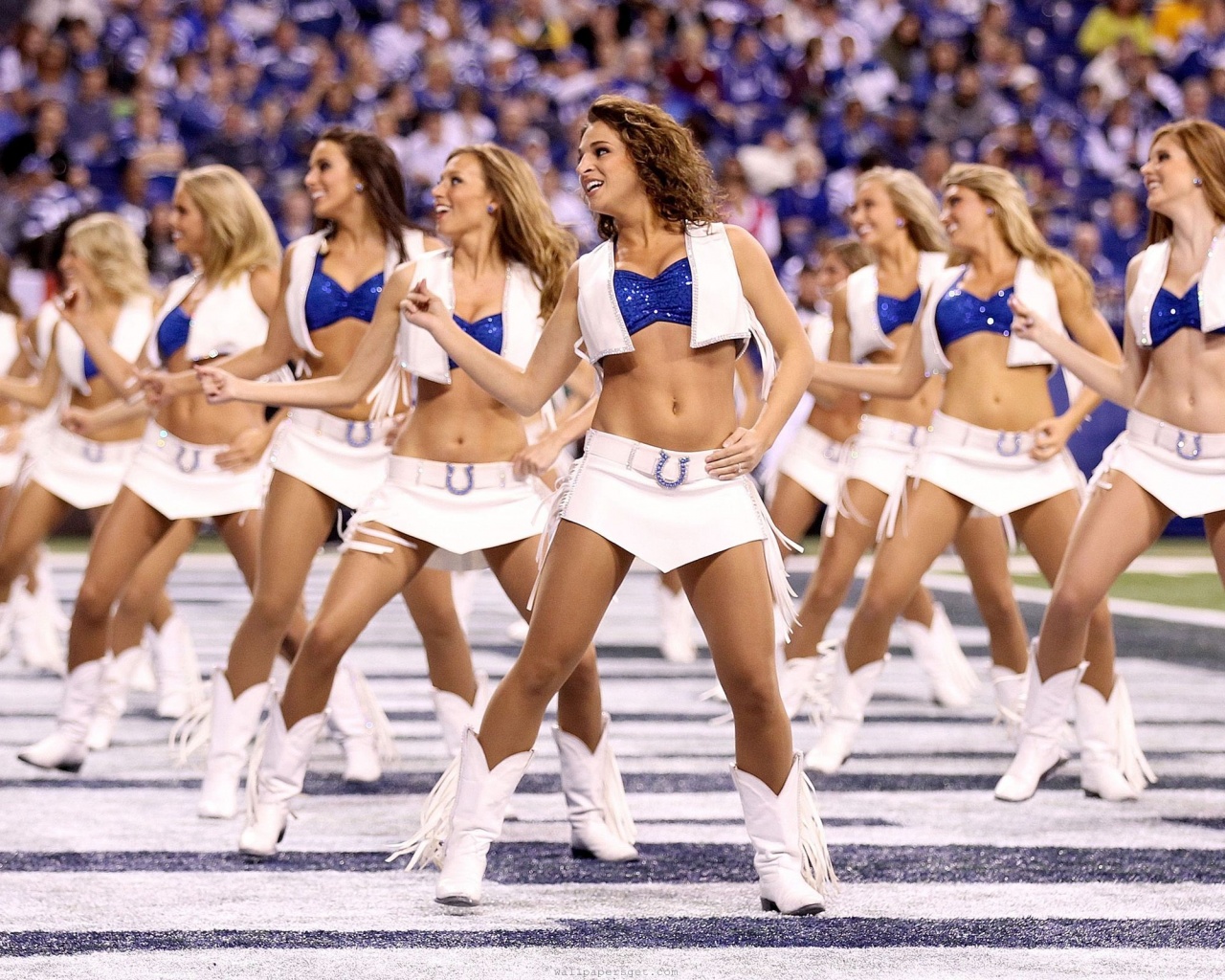 Indianapolis Colts Nfl American Football Cheerleaders