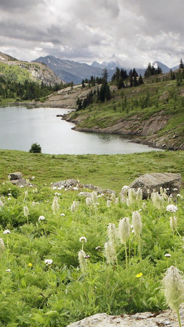 Lake Lawn Nature Landscape