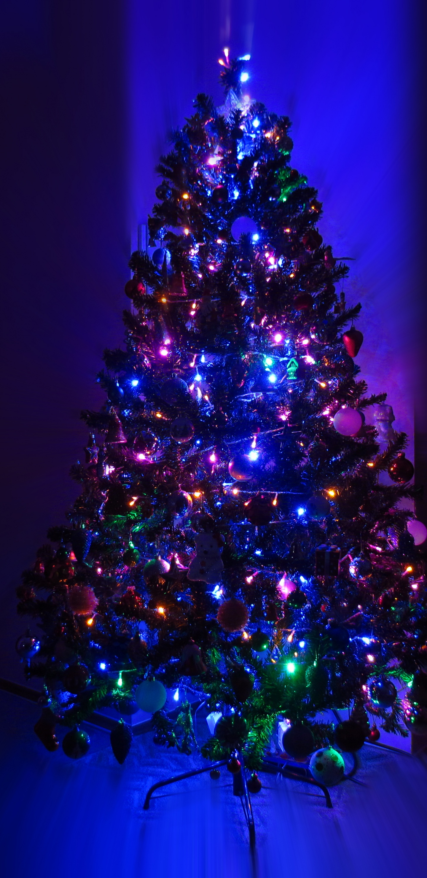 Lighting Christmas Tree