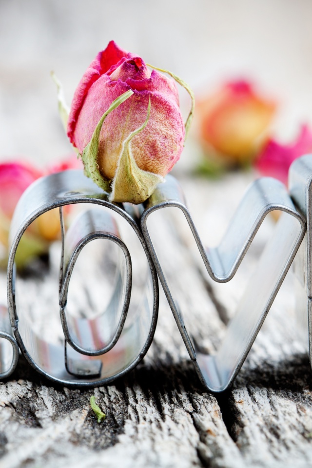 Love Flower Valentines Day