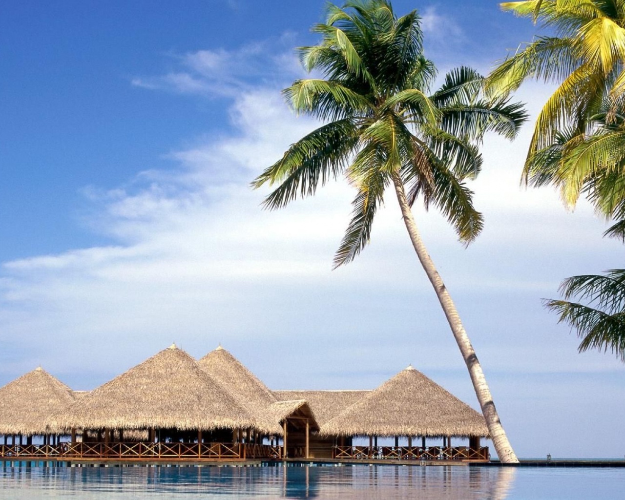 Maldives Entertainment Center Beach Resort Geography Asia Travel Nature