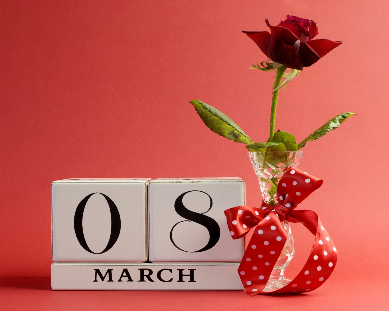 March 8 Roses Holidays