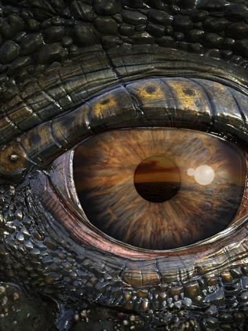 Mosasaur Eye