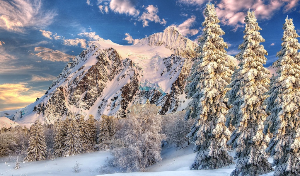 Mountain Forest Snow Winter