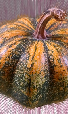 Mutated Pumpkin
