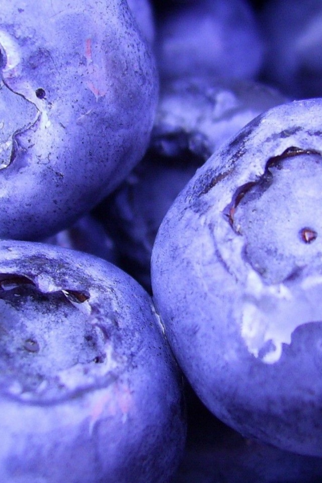 Nature Fruits Food Plants Macro Berries Blueberries