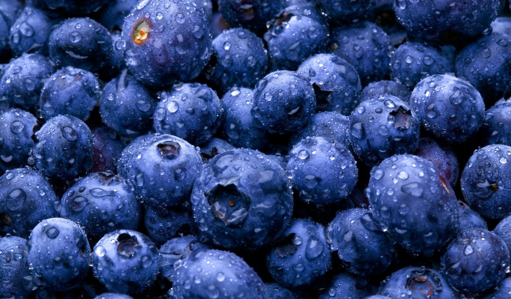Nature Fruits Food Water Drops Berries Blueberries