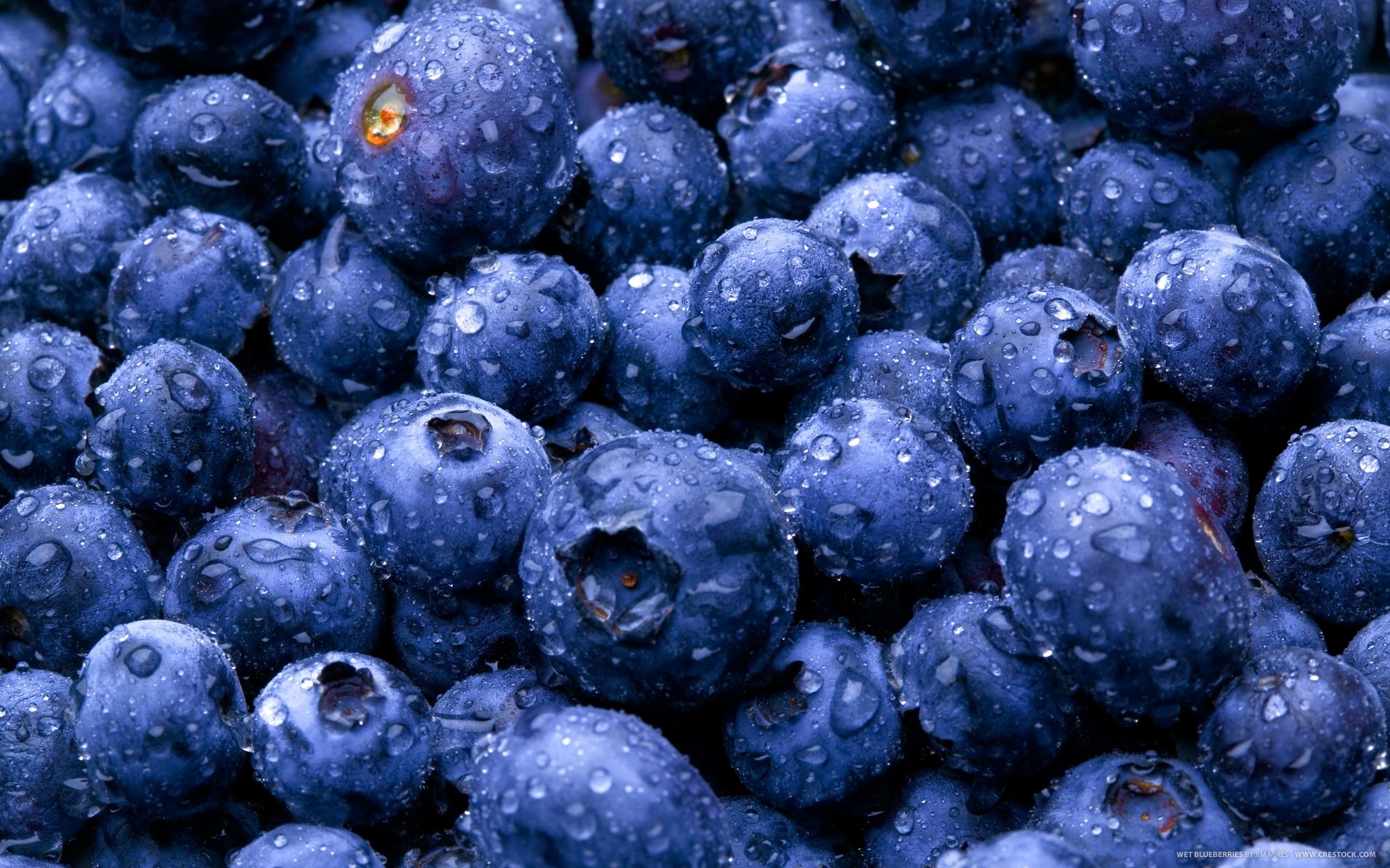 Nature Fruits Food Water Drops Berries Blueberries