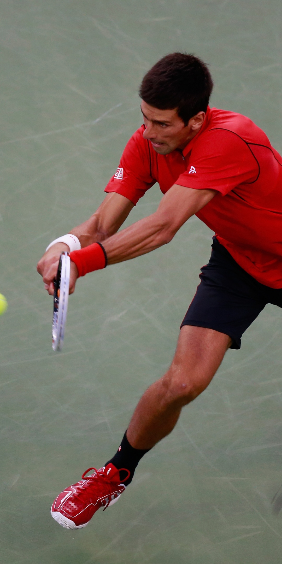 Novak Djokovic Fights Back