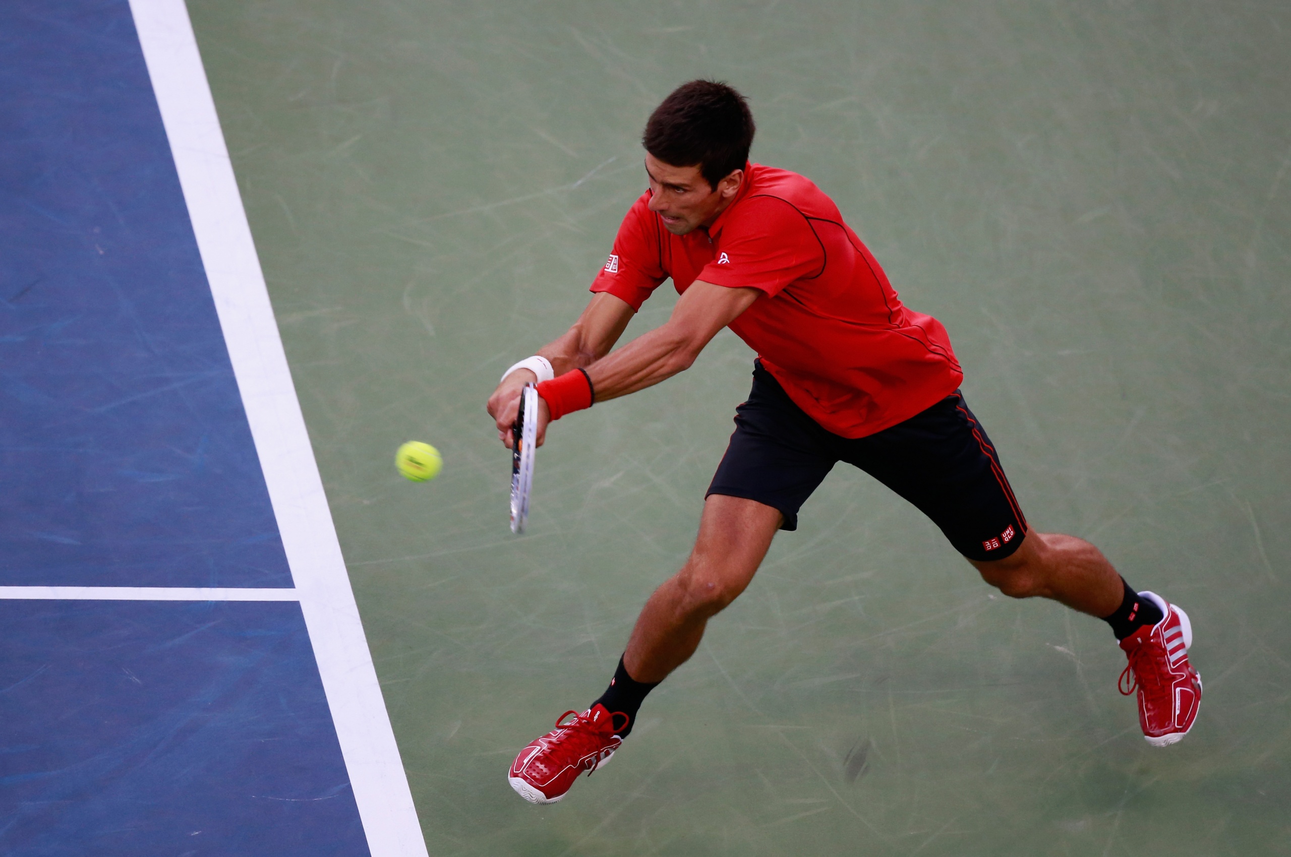 Novak Djokovic Fights Back