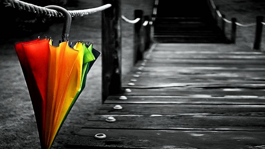 One Colorful Umbrella