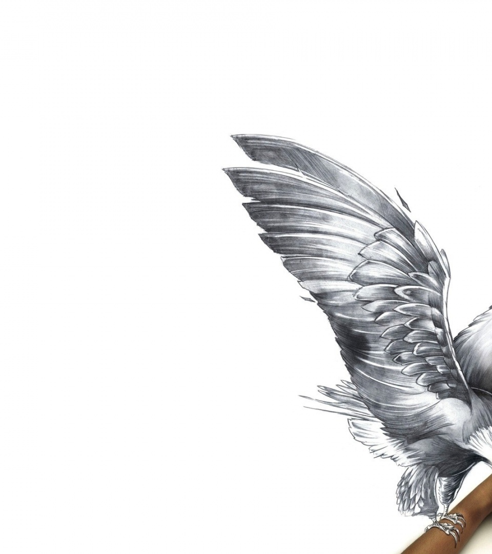 Paper Drawing Bird Hand Pencil Reality