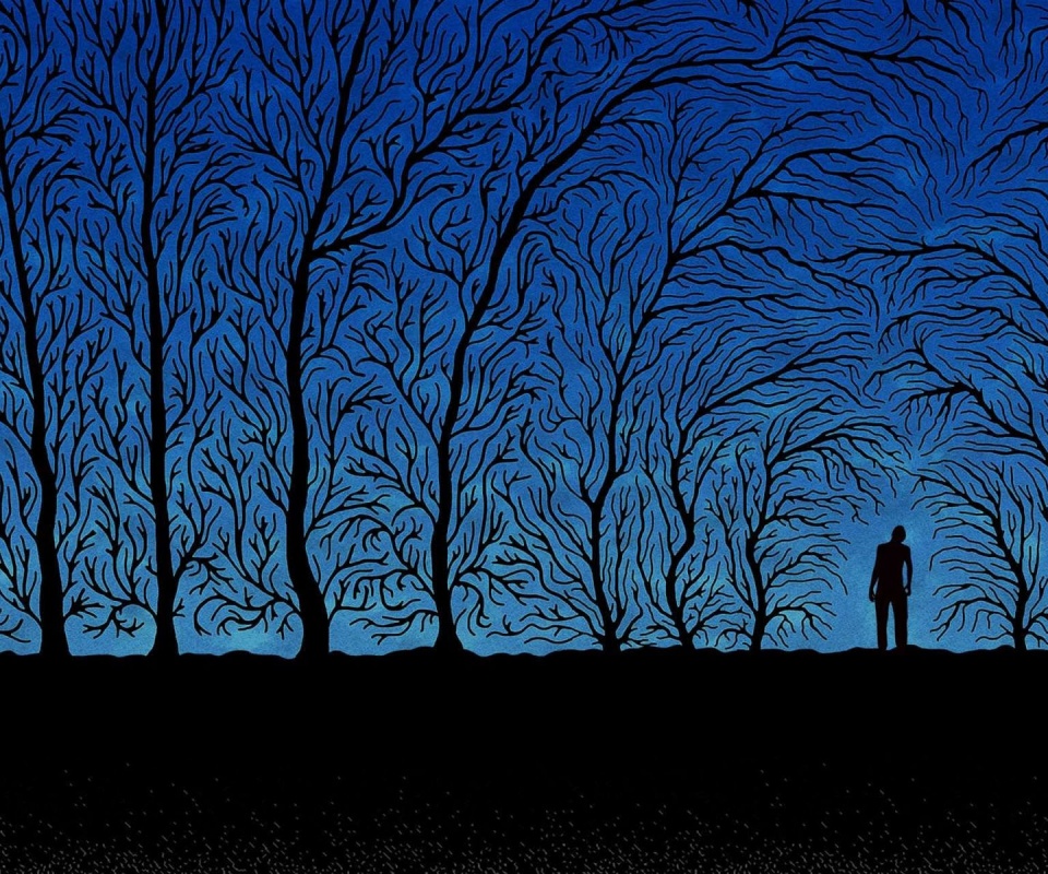 Person And Trees