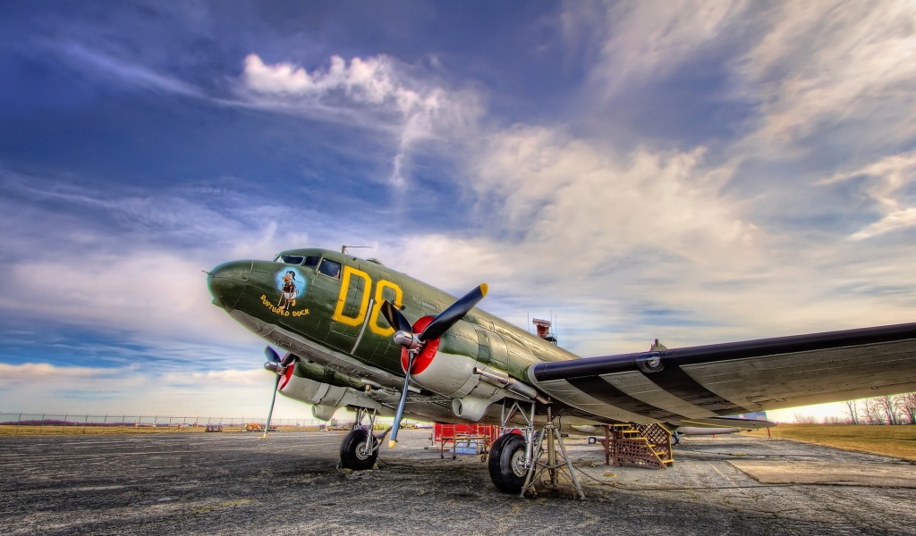 Planes Painted Aviation