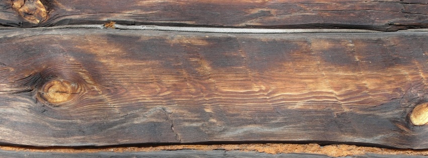 Plank Wood Wall Surface