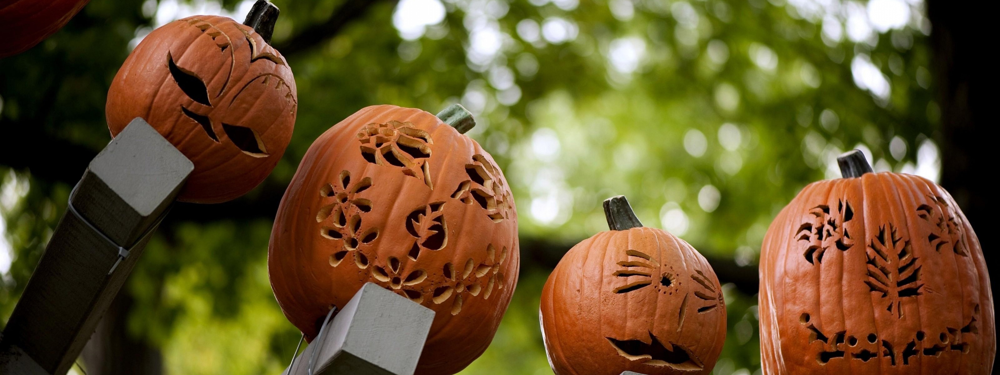 Pumpkins Carving Halloween