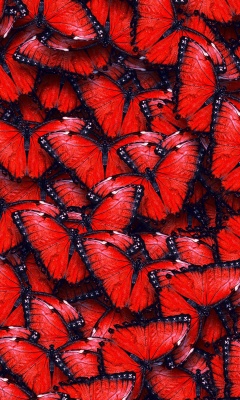 Red Butterfly Pattern