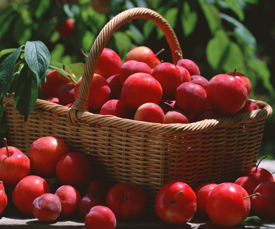 Red Plums In A Basket