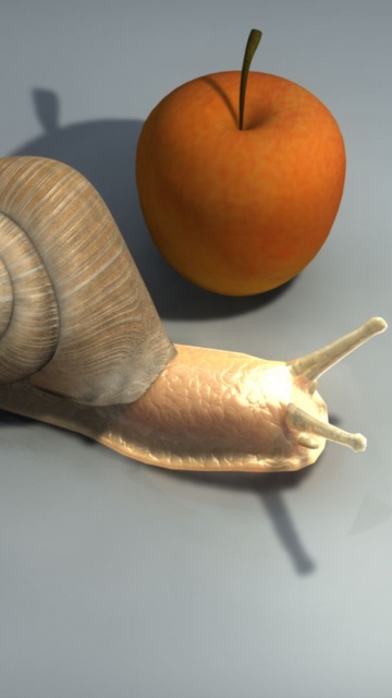 Schnecke Is The File Name