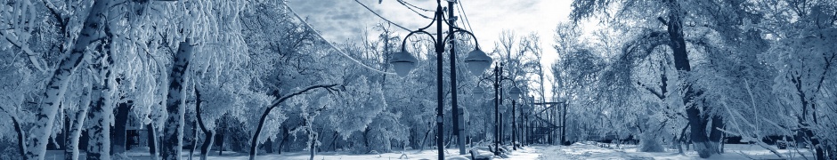 Snowstorm Park Winter