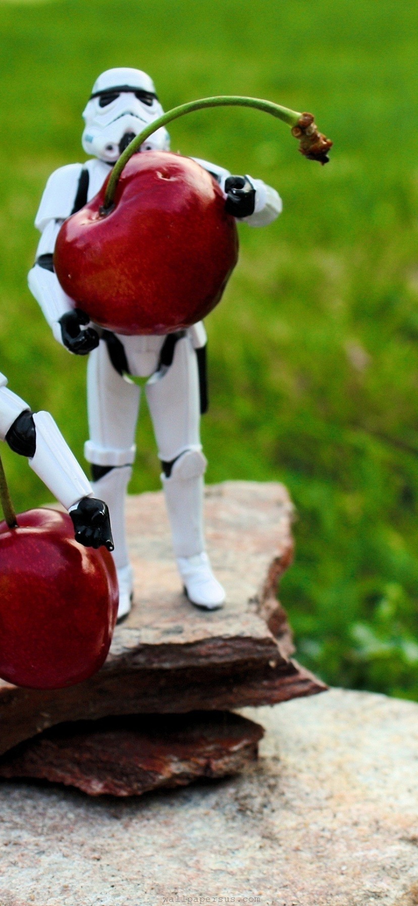 Stormtroopers Fruits Funny Toys Cherries