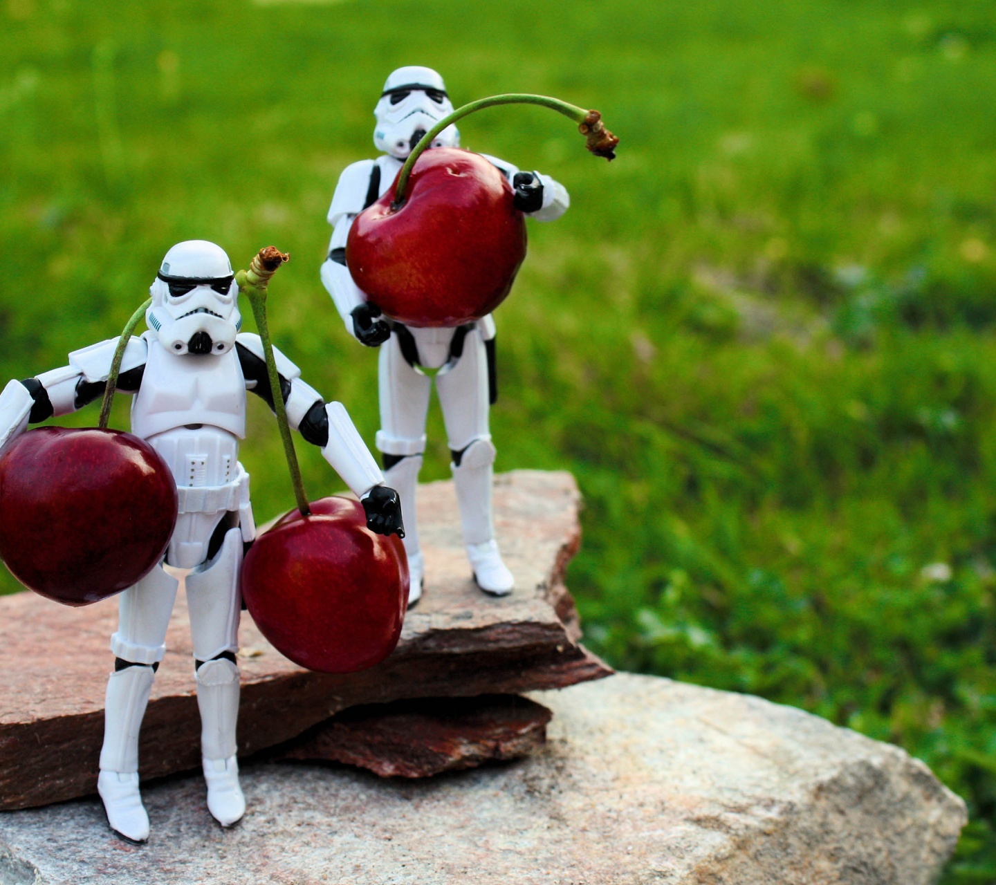 Stormtroopers Toys