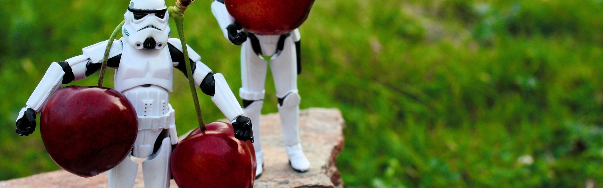 Stormtroopers Toys