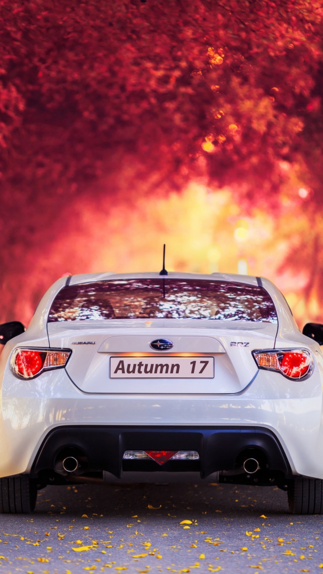 Subaru Car In Autumn