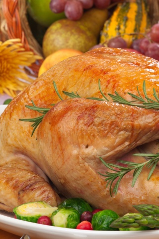 Thanksgiving Turkey