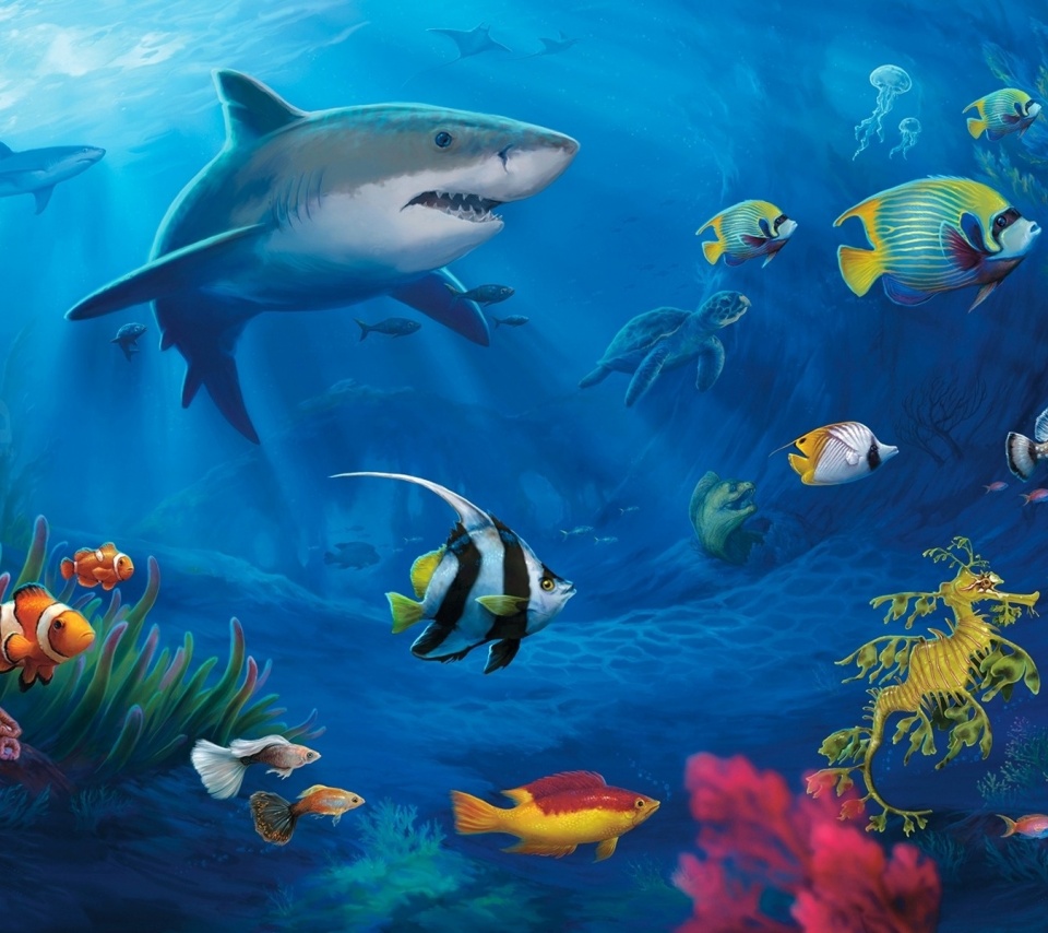 Underwater World Coral Sharks Turtles Moray Eel Fish