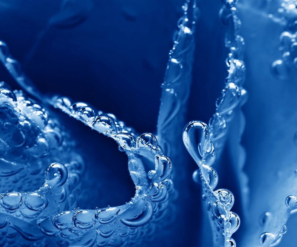 Water Blue Bubbles Macro