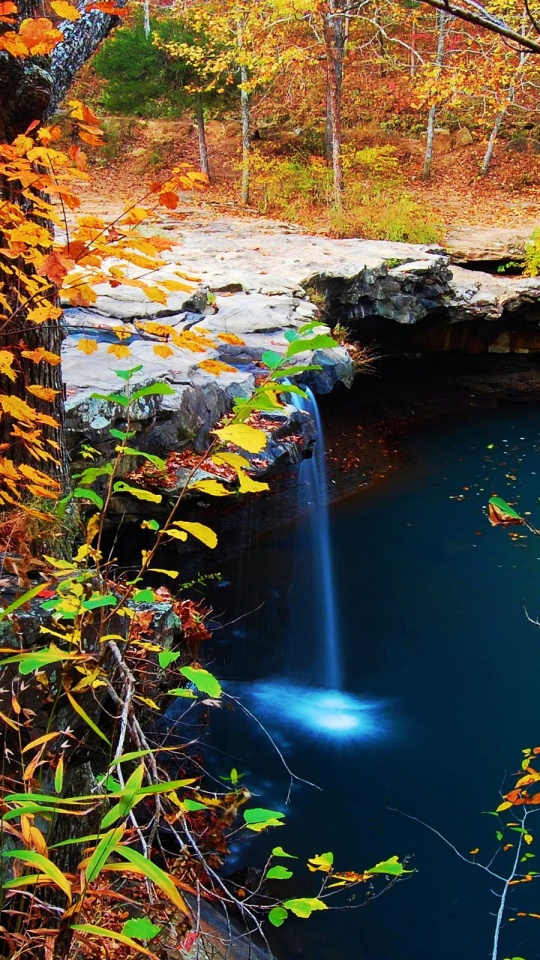 Waterfall Creek Autumn Leaves
