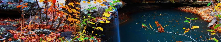 Waterfall Creek Autumn Leaves