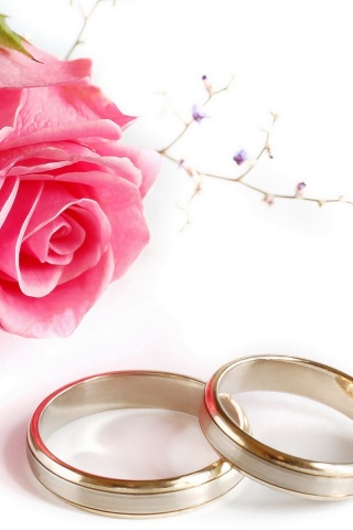 Wedding Rings Rose
