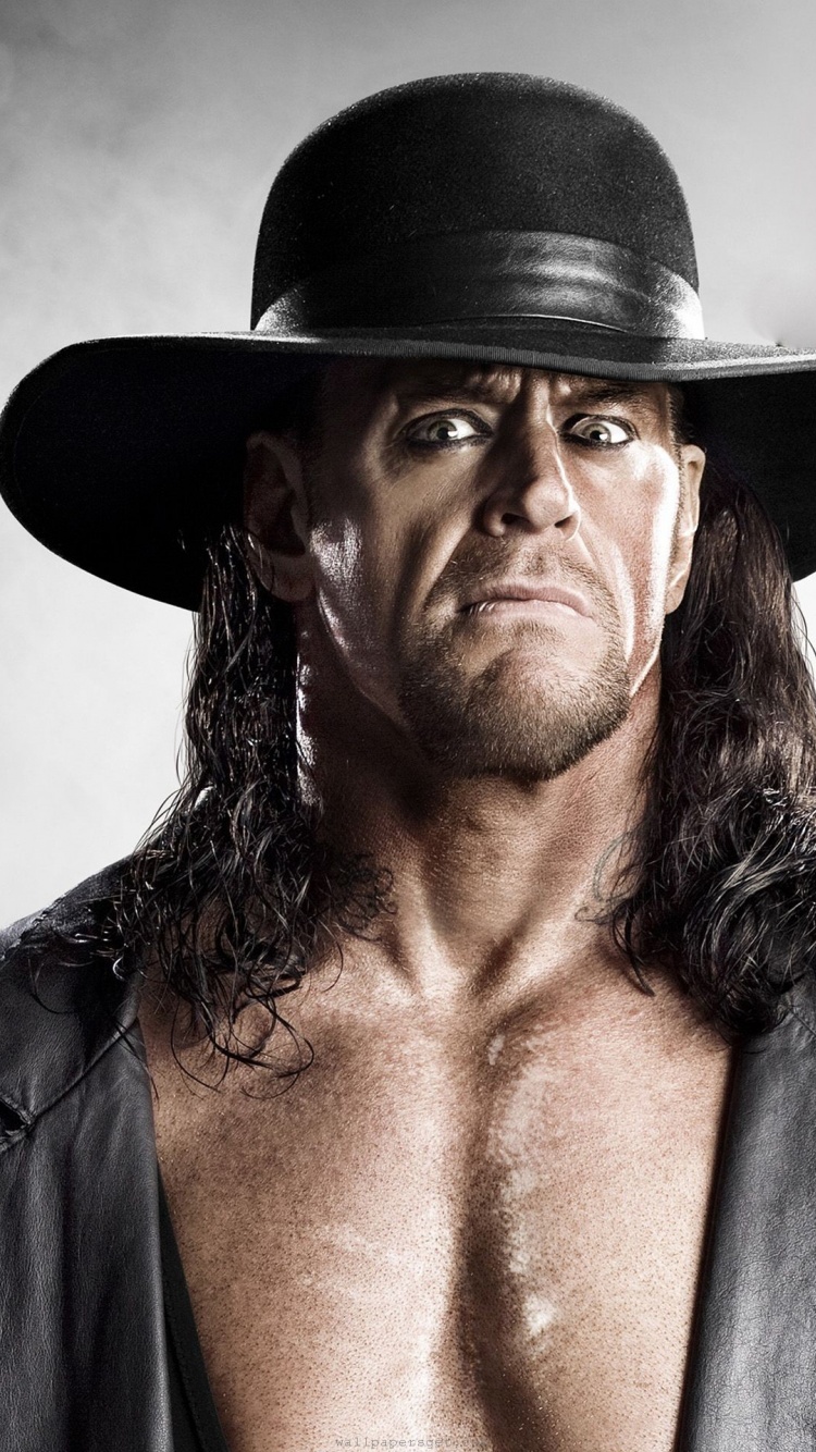 Wwe Superstars Career Wrestling King Undertaker Rip