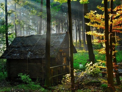 Abandoned Hut Nature Landscapes