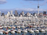 Auckland New Zealand Marina Yacht North Island