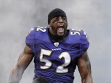 Baltimore Ravens American Football Team Ray Lewis